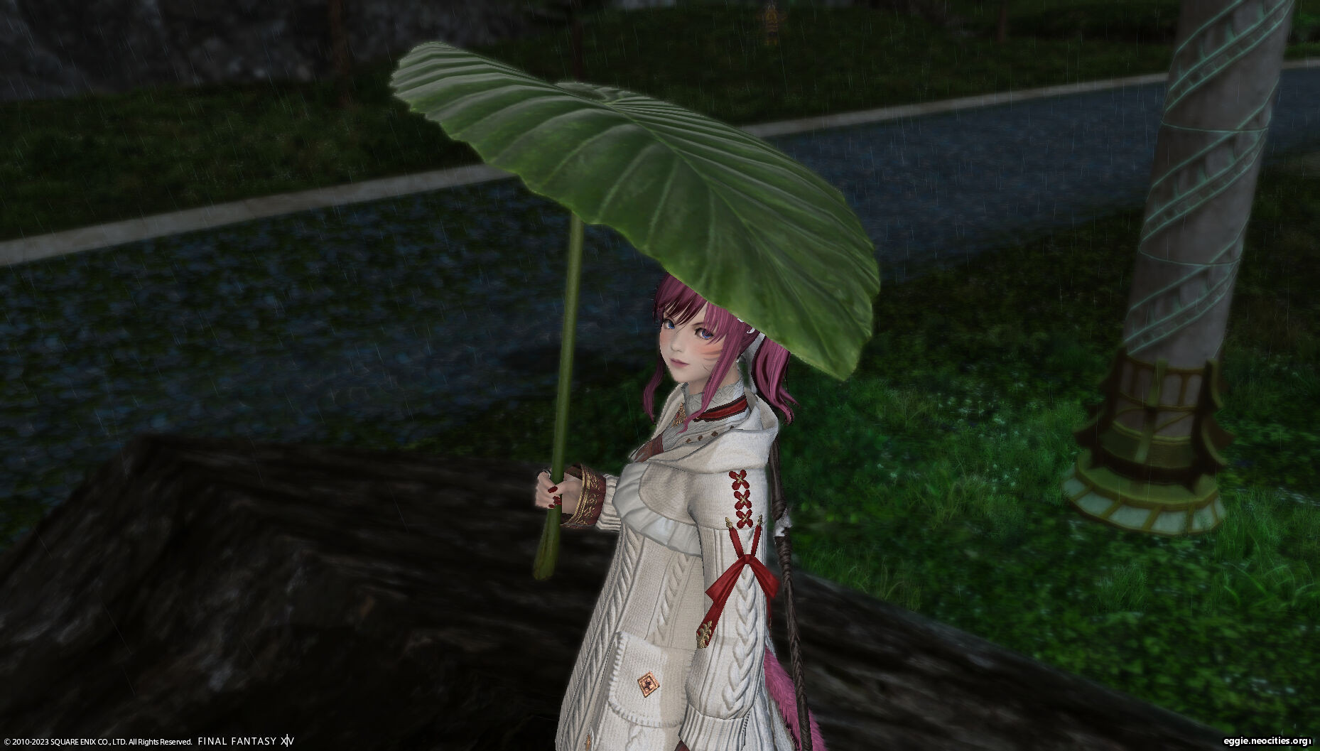Zel using a giant Taro leaf as an umbrella