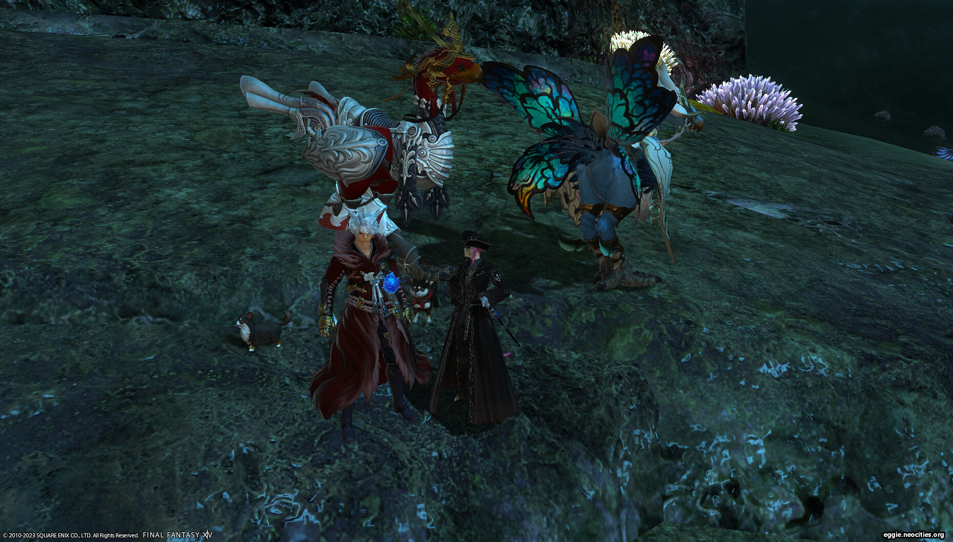 Zel, Xarale, and their chocobos standing in the tempest.