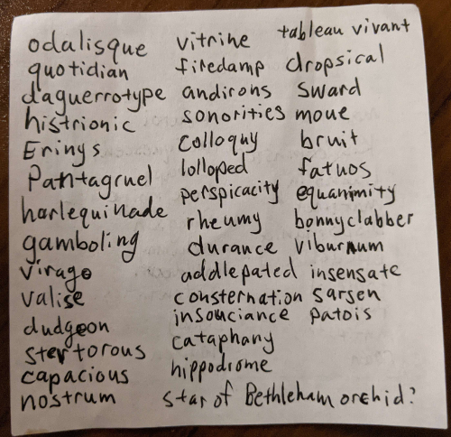 A piece of white, square note paper. At the top the title After Alice is written. The words written down on the note paper are as follows: odalisque, quotidian, daguerrotype, histrionic, Erinyes, Pantagruel, harlequinade, gamboling, virago, valise, dudgeon, stertorous, capricious, nostrum, vitrine, firedamp, andiron, sonoroties, colloquy, lolloped, perspicacity, rheumy, durance, addlepated, consternation, insouciance, cataphany, hippodrome, Star of Bethlehem orchid, tableau vivant, dropsical, sward, moue, bruit, fatuos, equanimity, bonnyclabber, viburnum, insensate, sarsen, patois