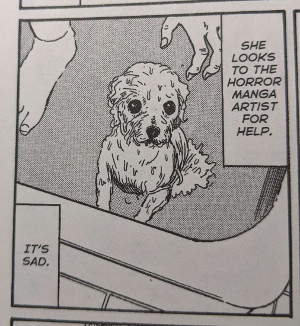 A panel from Ito Junji's story Boss Non-non. There is a small, white, wet maltese dog. The text panels read: She looks to the horro manga artist for help. It's Sad.