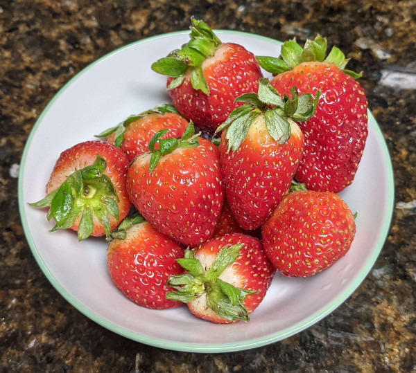 A bowl of small, ripe, red strawberries